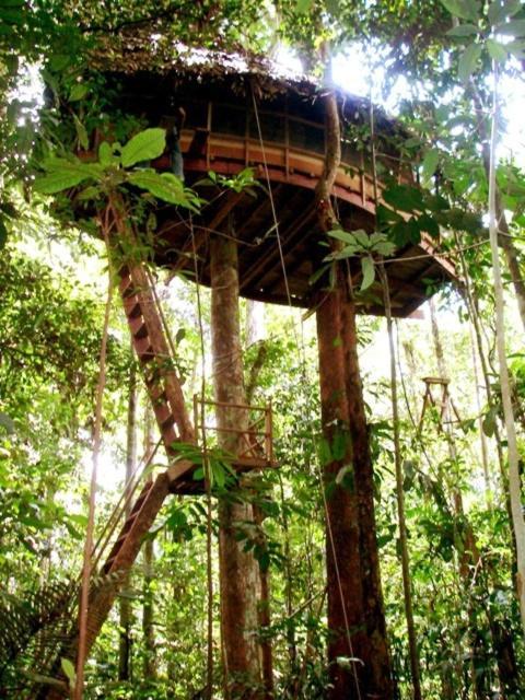 Reserva Natural Tanimboca Lodge