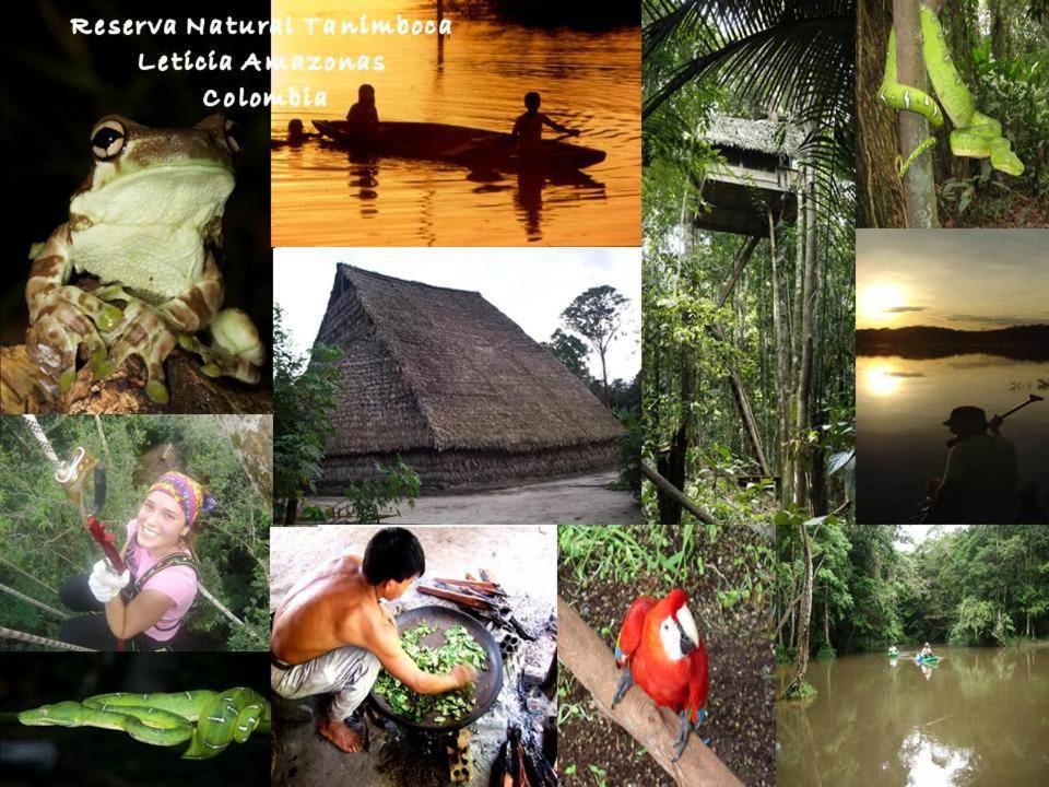 Lodge Reserva Natural Tanimboca