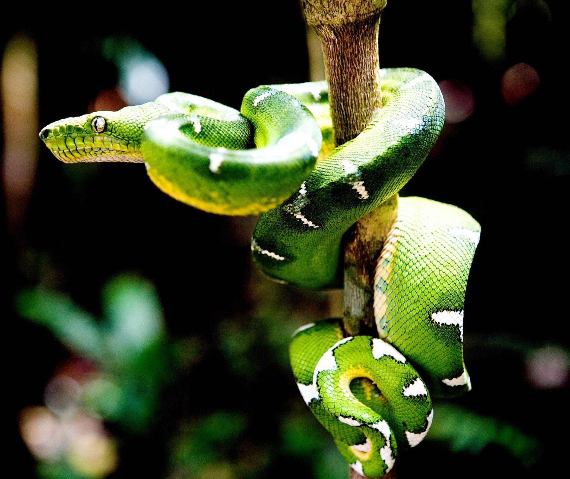 Reserva Natural Tanimboca