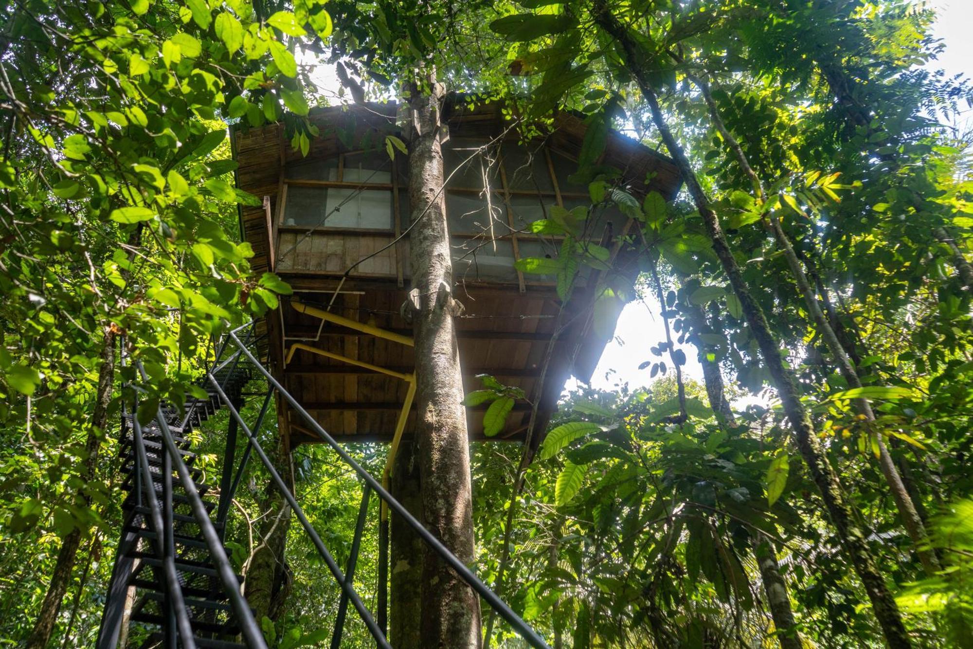Reserva Natural Tanimboca Lodge *