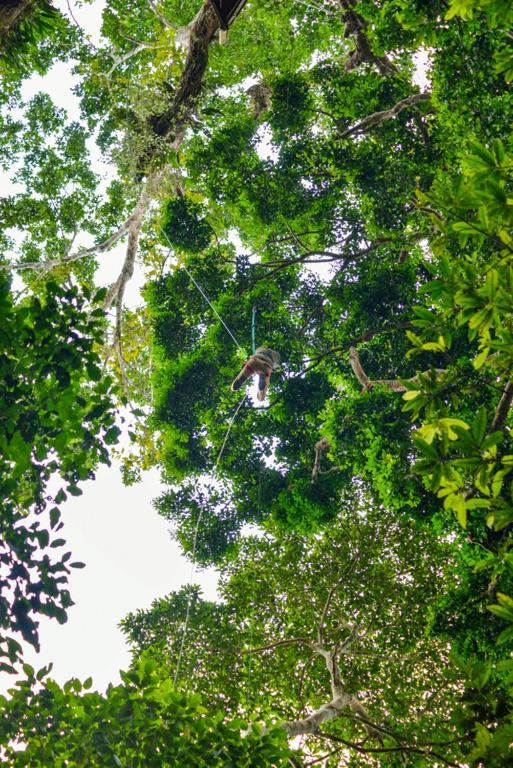 Lodge Reserva Natural Tanimboca *